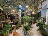 alleyhomestay 2 - B&B Hanoi
