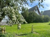 Finnhütte Nr.42 auf Mönchgut - B&B Gager