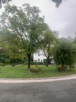 Sonniges Dachzimmer - Chambres d’hôtes Feucht