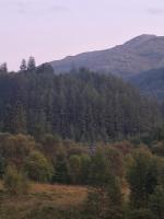 Twin Deer Lodge - B&B Glenfinnan