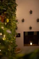 HOTEL BOUTIQUE ALMA ANDALUSí - Bed and Breakfast Córdoba