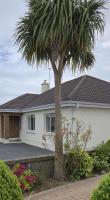 Loughrea Town Centre - B&B