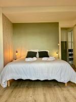 Loft avec parking centre Tours et bord du Cher Loire Valley - B&B Tours