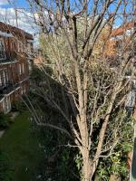 Regents Gate East Melbourne - B&B Melbourne