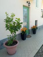 B&B L'Ortensia - Bed and Breakfast Vignolo
