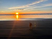 The Surf Shack - B&B Westport