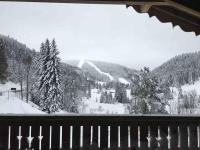 L'appart des familles sportives! - B&B La Bresse