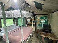 AMENITY TOURs & CAMPING SERENGETI - B&B