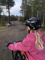 Sointuilevi R69 moderni huoneisto Levin keskustan tuntumassa - B&B