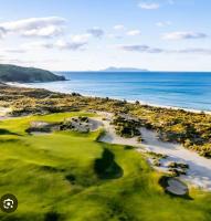 Driftwood - B&B Te Arai