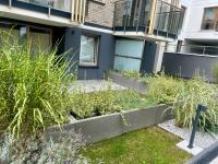 Apartamenty Kielce- OCEAN BLUE APARTAMENT, faktura, parking, centrum, ogródek - Bed and Breakfast