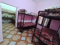 Bunk Bed in Mixed Dormitory Room