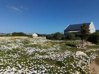 Silver Oaks Airbnb - B&B