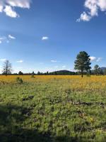 Williams Cabin-2 acres-Polar Express-Fire Pit - B&B Williams