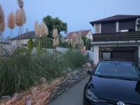 Stone Spa Apartman 2 - B&B Sremčica