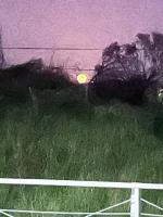 DEMAROYS - B&B Treasure Beach