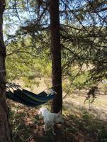 Iza sedam gora - Bed and Breakfast