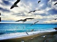 Heart of the Old City - Nice - Ferienwohnung Nizza