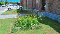Rooms for pilgrims in house with garden - B&B
