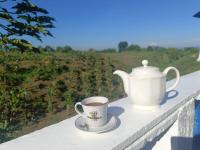 Finca Hotel La Molienda Quindiana - B&B Montenegro