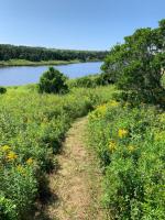 Villa de 1 dormitorio