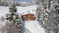 ChaletWK - Luxury old wood mountain chalet in a sunny secluded location with gym, sauna & whirlpool - Chambres d'hôtes Scheffau am Wilden Kaiser