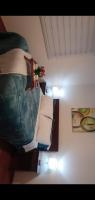 Las golondrina - B&B Nueva Imperial