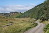 Secluded Luxury Off-Grid Hideaway with Apartment - Ferienwohnung Selkirk