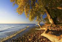 Comfortable 1 bd apt - Chambres d’hôtes Peseux