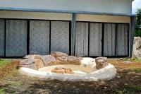 Holly House La Fortuna - B&B Agua Azul