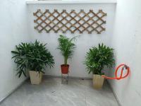 Homestay Anggerik 56 Saujana Utama - Chambres d'hôtes Sungai Buloh