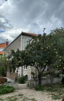 Villa Jadran Zadar free parking sea view - B&B