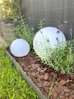 Uroczy apartament z ogrodem - B&B Rumia