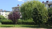 Comfort & Sunny Apartament Gdańsk - B&B