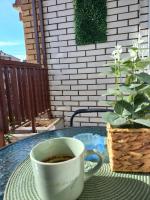 Mountain view apartment - B&B Pirot