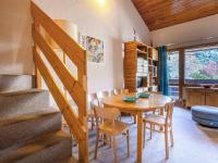 Duplex 4 pièces à 20m des pistes, animaux admis, Crève Coeur - FR-1-356-516 - Ferienwohnung