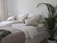 Apartment mit 2 Schlafzimmern und Balkon