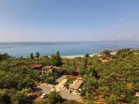 olive grove by the sea 30m from the beach - Chambres d’hôtes