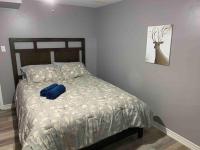 Luxury Fully Renovated Guest House - fully private - Chambres d'hôtes Mississauga