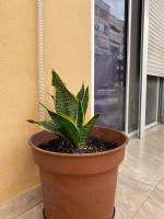 Home Sweet Home - Guest House - B&B Tirana