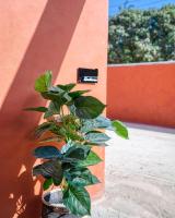 Zambarau - Luxury Kilifi Coastal Home - B&B