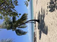 Ti kaz a Krol et Harry - B&B Sainte-Rose