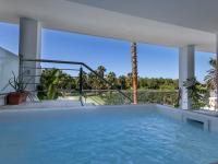 Luxury Apartment with Private Pool