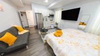 Studio with Sofa Bed