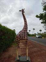 Baobab Lodge - B&B