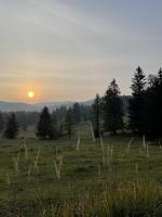 Cosy countryside cottage with indoor fireplace - Bed and Breakfast Sodražica