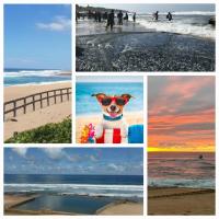 Pennington Beach Cottage Holiday accommodation - B&B