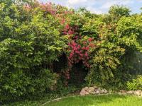 Fewo Muschel - B&B Bremerhaven