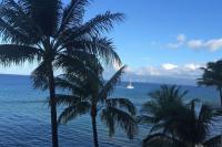 Gorgeous Views Ocean Front Mahana 617! - B&B Kahana