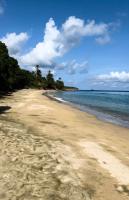 Bliss Oasis Hideaway - Chambres d’hôtes Buccoo